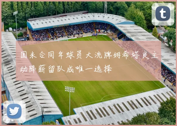 国米合同年球员大洗牌姆希塔良主动降薪留队成唯一选择