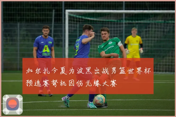 加尔扎今夏为波黑出战男篮世界杯预选赛弩机因伤无缘大赛