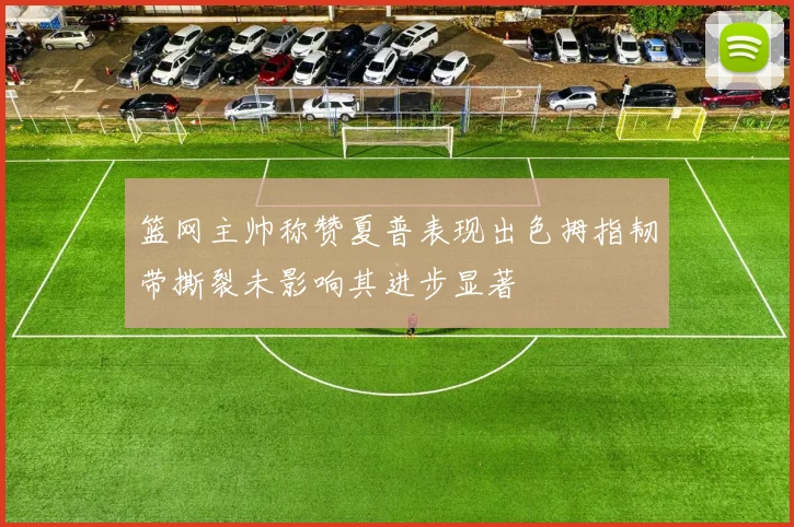 篮网主帅称赞夏普表现出色拇指韧带撕裂未影响其进步显著